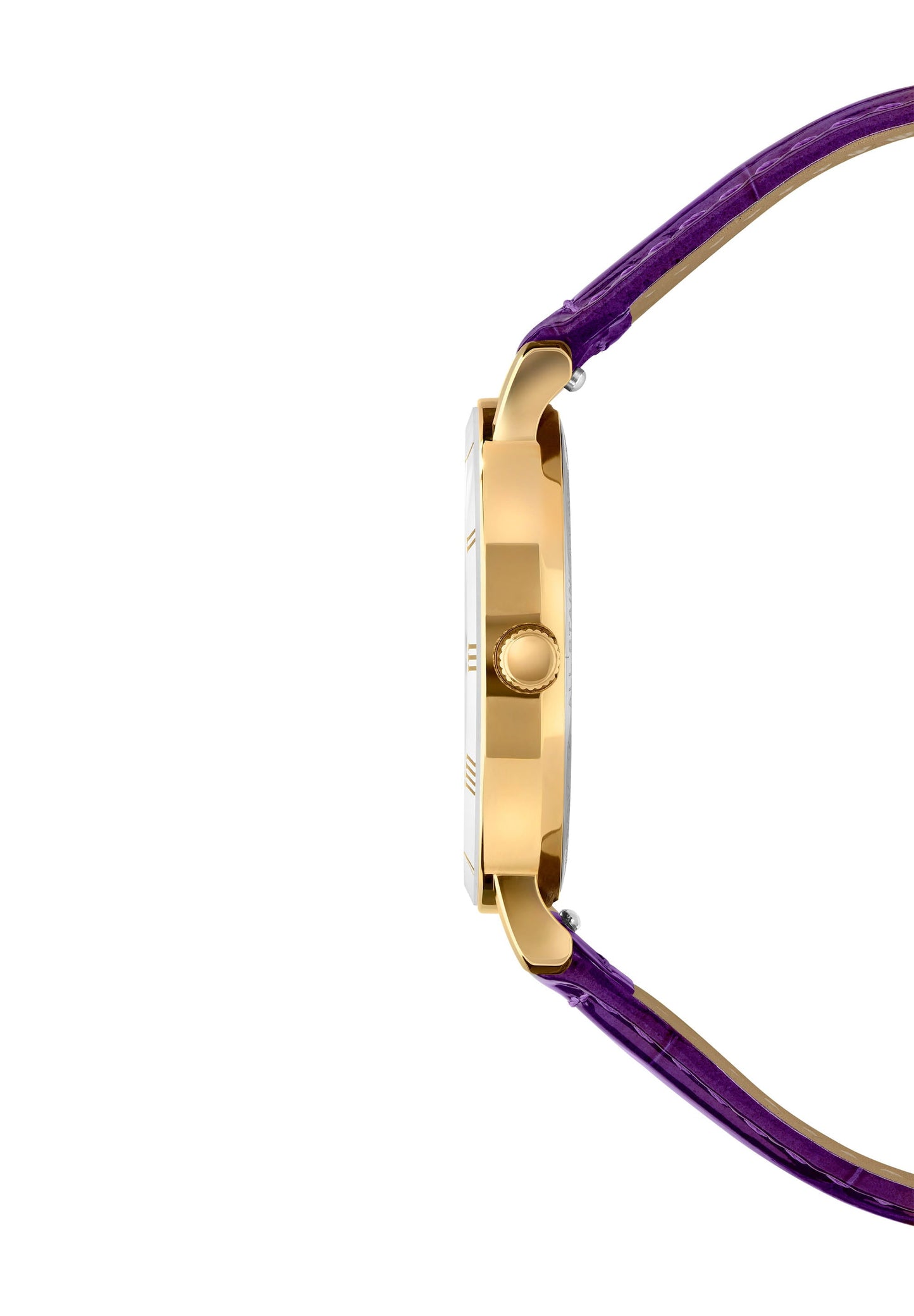 Roma Swiss Ladies Watch J2.279.M-1