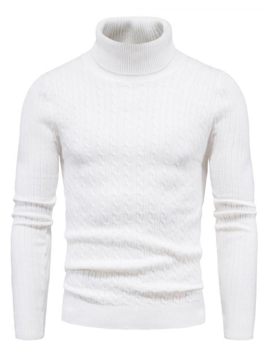 Men’s Solid Color Rolled Turtleneck Long Sleeve Rib Texture Sweater